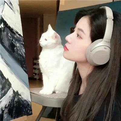 杀手·蝴蝶·梦